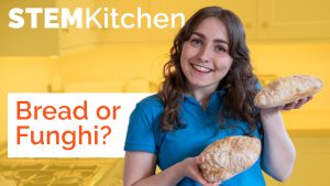 STEM Kitchen - Bread